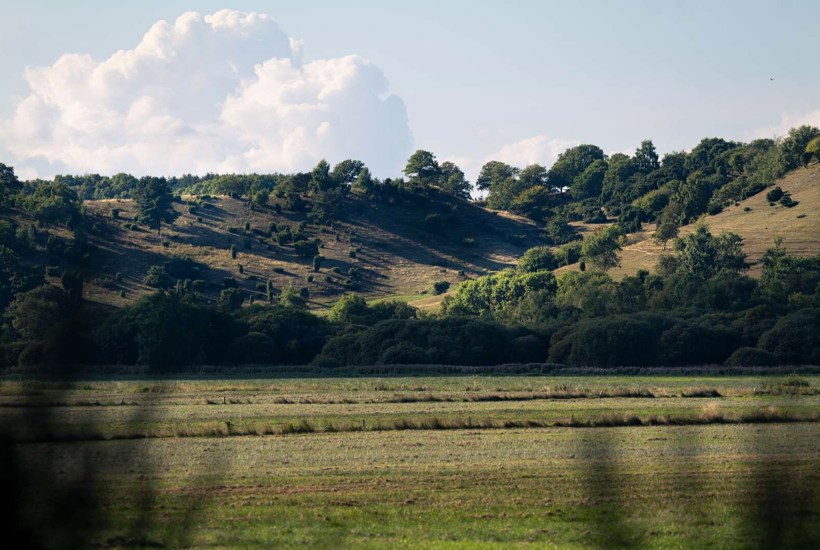  Nu åbner den første naturnationalpark: Sådan vil naturen blive forvandlet 
