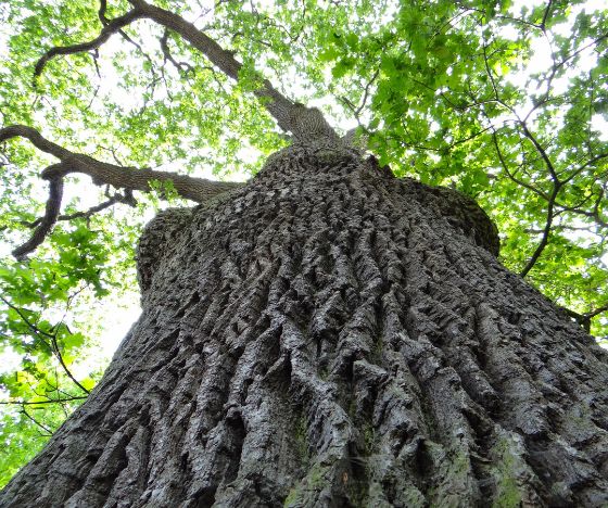 nyhedsbrev kvadrat (3).jpg