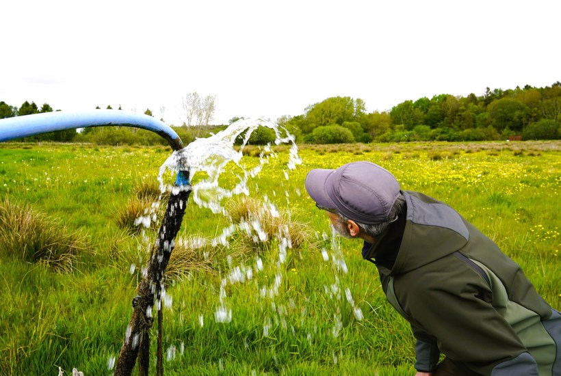 Kildevandet springer frit igen – Sjælden natur er genskabt
