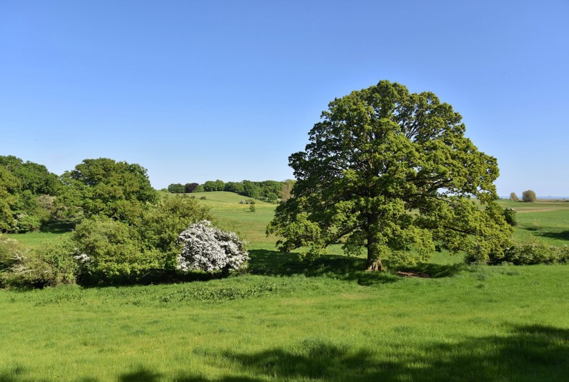 Fremtiden bliver grønnere – de første streger er sat på Danmarkskortet