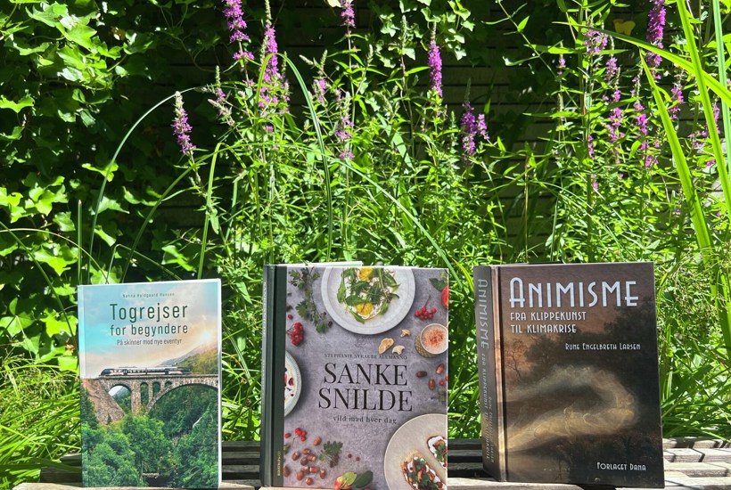 Anbefalinger af gode bøger til sommerferien