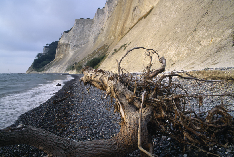 Ny udstilling på Naturdestination Skovsgaard: Oplev 100 års kamp for naturen
