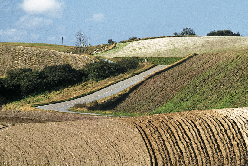 Klimarådet: Sådan redder vi både vandmiljø, biodiversitet og klima på en gang