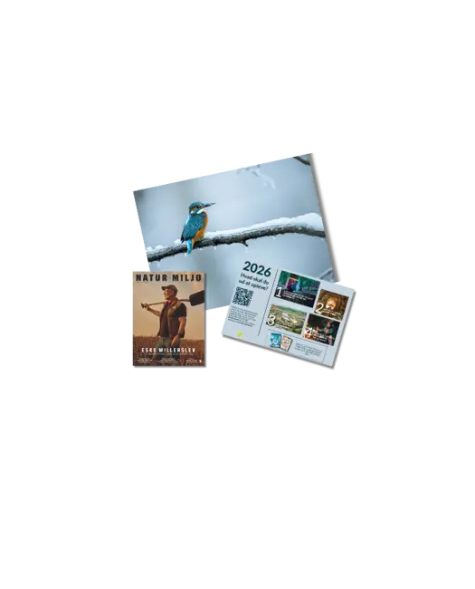 En gave fyldt med oplevelser!