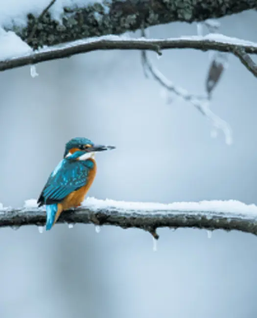 En gave, der gør en forskel