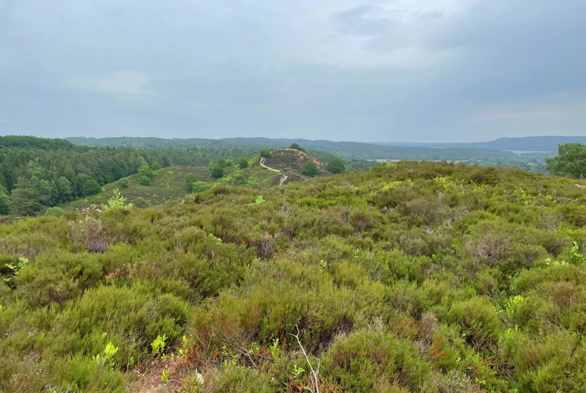 Enestående bakkelandskab med store naturværdier skal fredes
