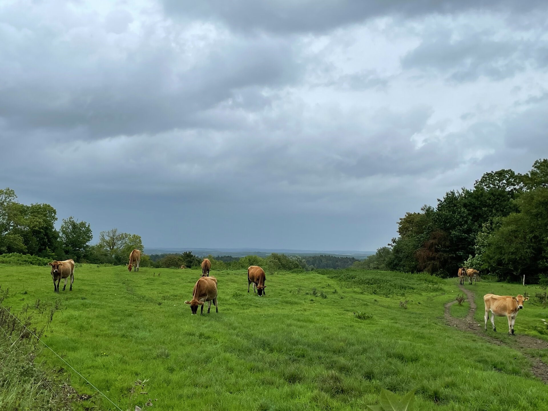 Fantastisk nyt: Spektakulært område i Østjylland fredet 