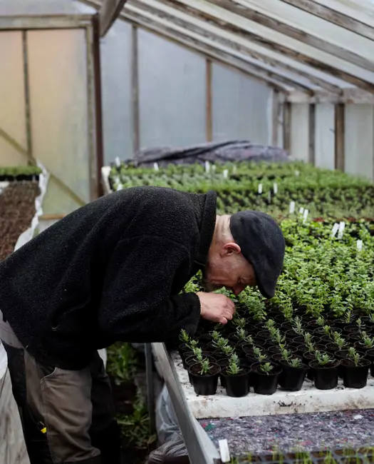 Sådan kan fremtidens regenerative landbrug være en gave for natur og klima 