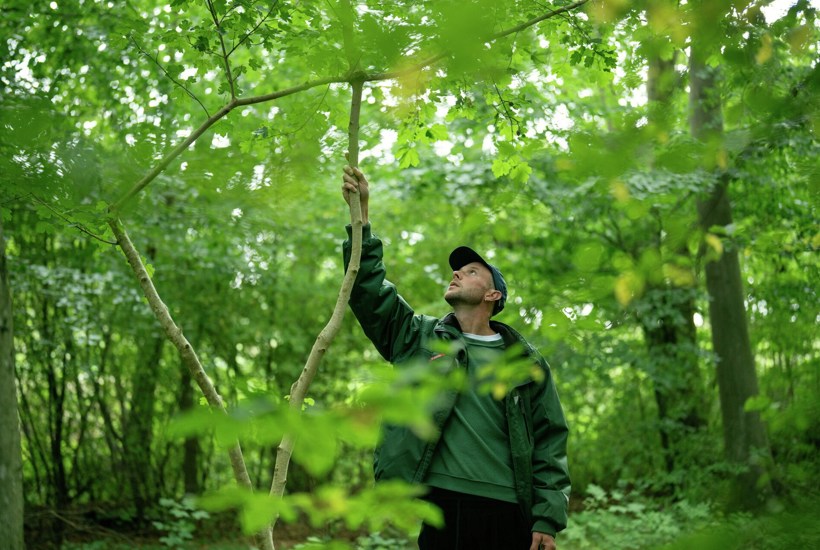 Kunstner Rune Bosse gør træer til levende kunstværker