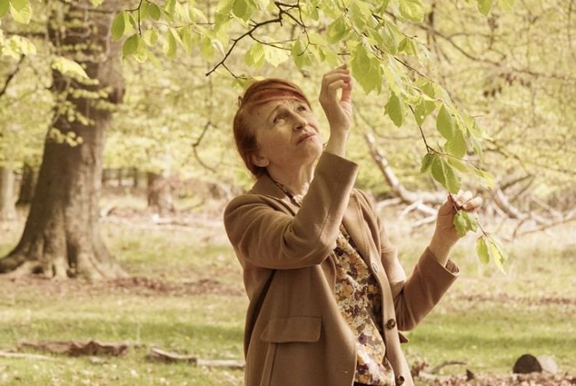 Bodil Jørgensen: Jeg spejler mig mere i naturen end i mennesker