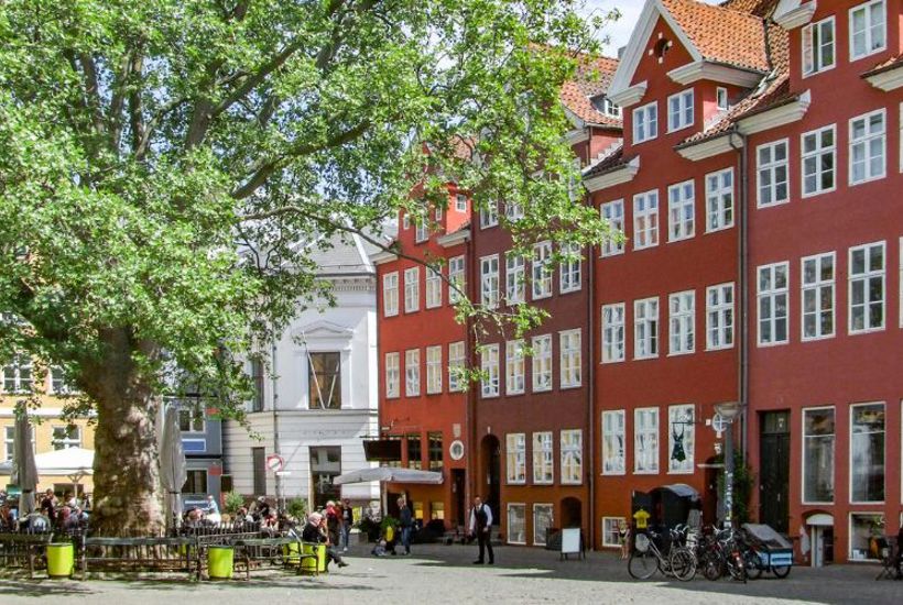 Dit træ er klimavenlig aircondition  