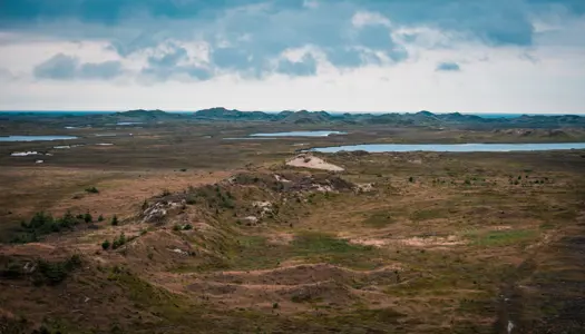  7. Vildmarks-landskab: Nationalpark Thy