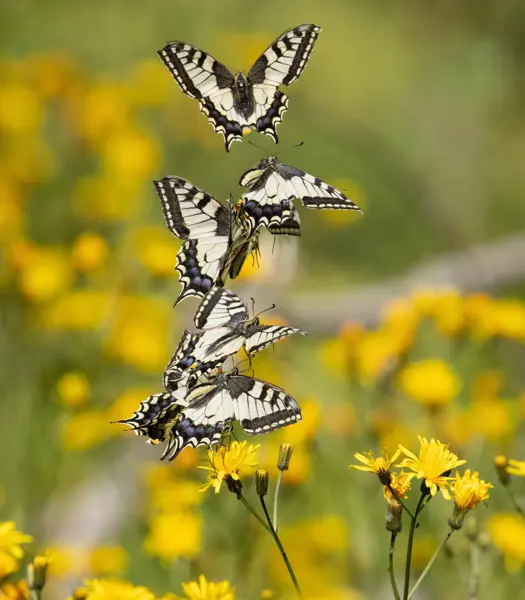 Dit bidrag gør en forskel