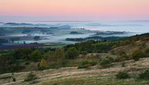 Vi skal passe på de landskaber vi har