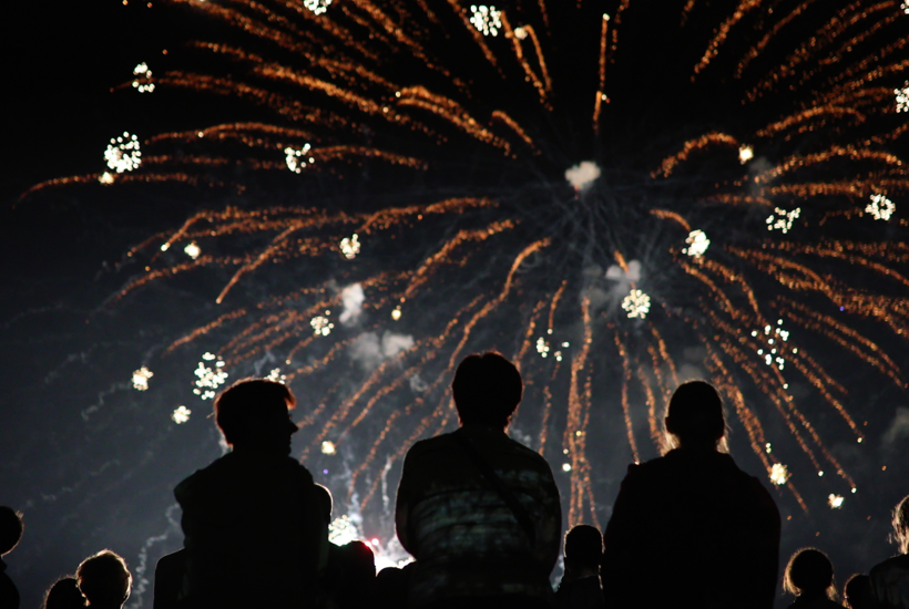 Fyrværkeri gør naturen til losseplads og skræmmer dyr i panik
