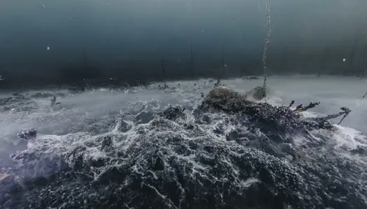 Iltsvind har konsekvenser for livet i havet 