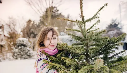 2. Vælg rødgran fremfor nordmannsgran
