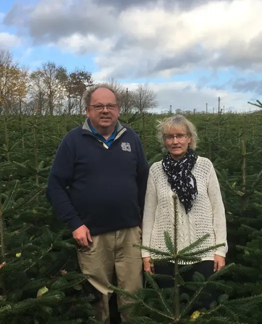 Lygtholt sælger økologiske juletræer i Aarhus, København eller online