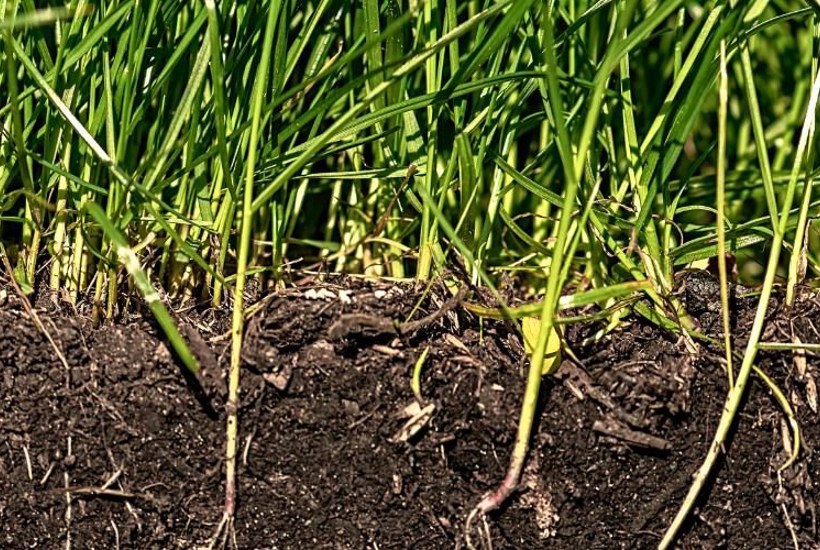 Forurenet jord truer natur og drikkevand – nu kræves handling