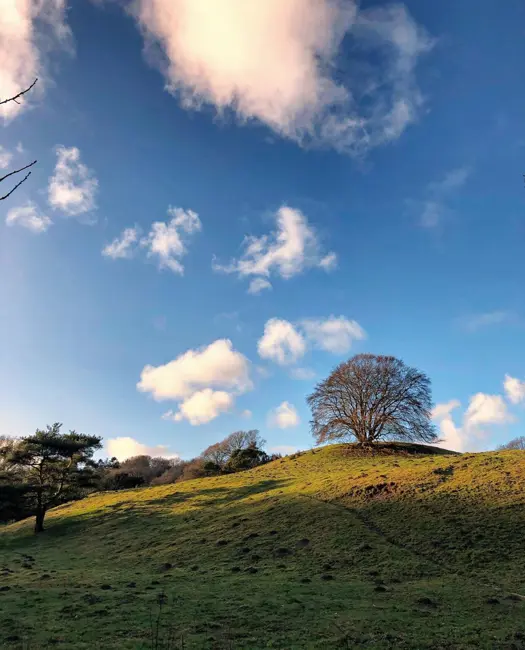 17. Fortryllende landskab i Hammer Bakker