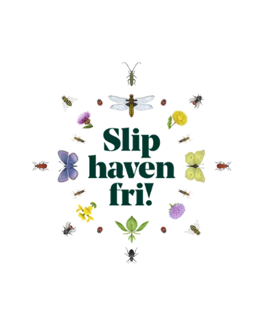 Få gratis tips og inspiration