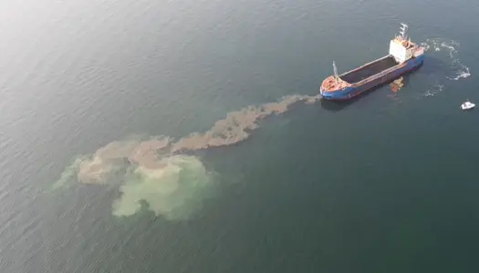 Hvorfor blev dumpning af havneslam fra Lynetteholm stoppet? 