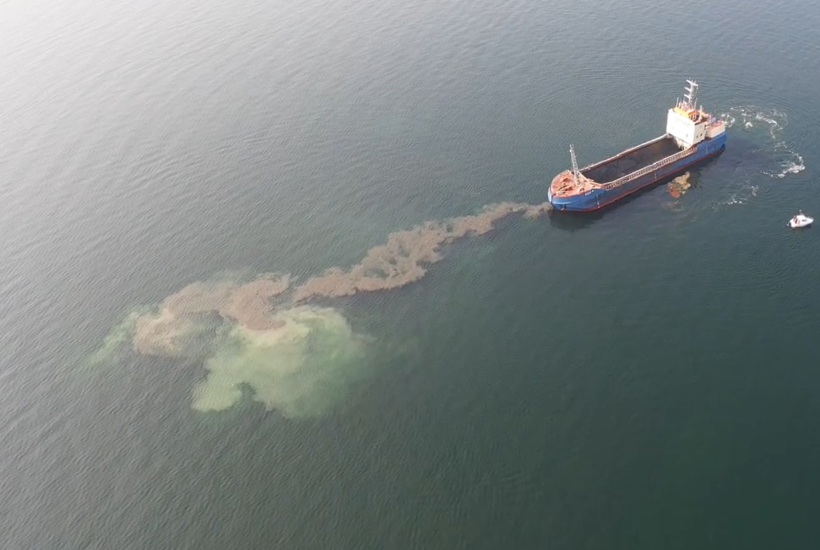 Stor sejr for Øresund: Folketinget stopper dumpning af slam fra Lynetteholm