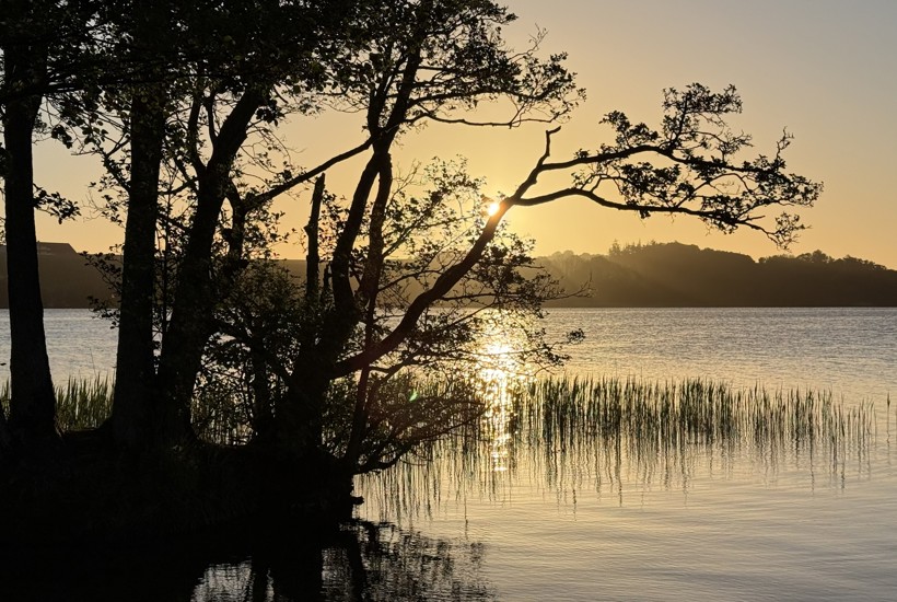 Oplev naturen, når de fleste sover - i Danmarks første naturnationalpark