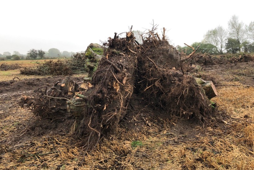 Bøden bliver dobbelt så høj for at begå natur-kriminalitet