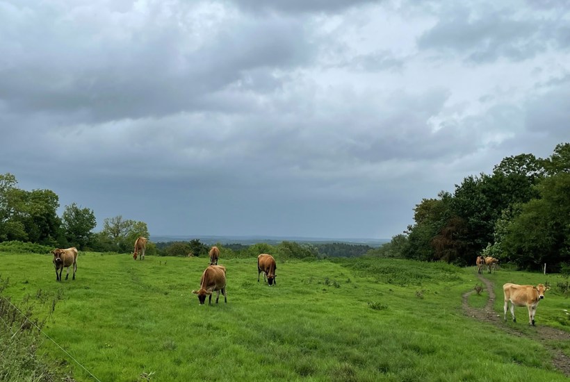 Fantastisk nyt: Spektakulært område i Østjylland fredet 