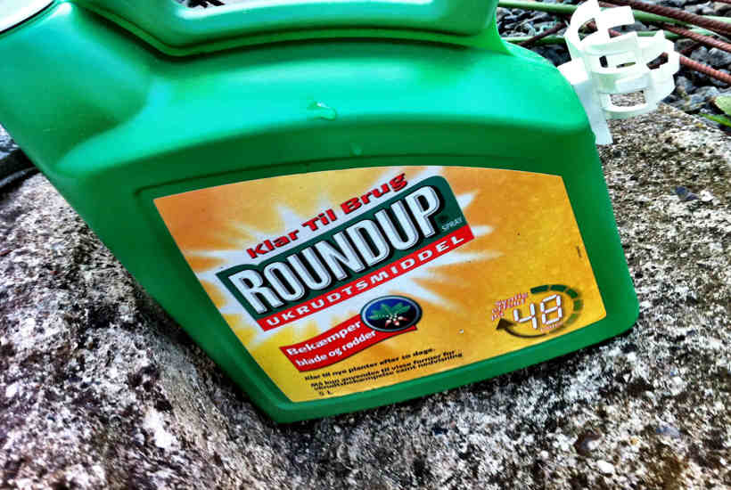 Danmark svigter miljøet ved at tillade Roundup