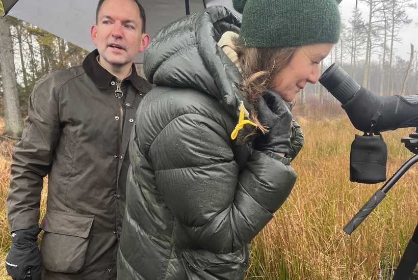 Kæmpe milepæl: 75.000 hektar urørt skov nået