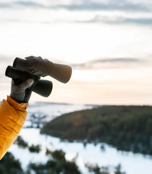 Den store begynder-guide