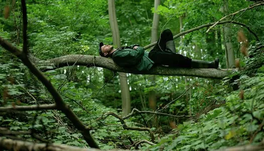 Når naturen værker