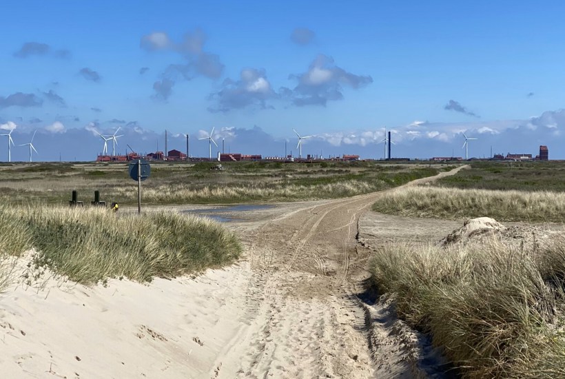 DN: Stop forurening med giftig kemi i dansk hav  