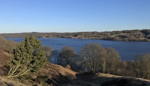 12. Hald Sø: Et minde om istiden