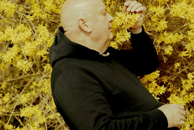 -Wow wow no cow: Manden, der vil vælte komælken