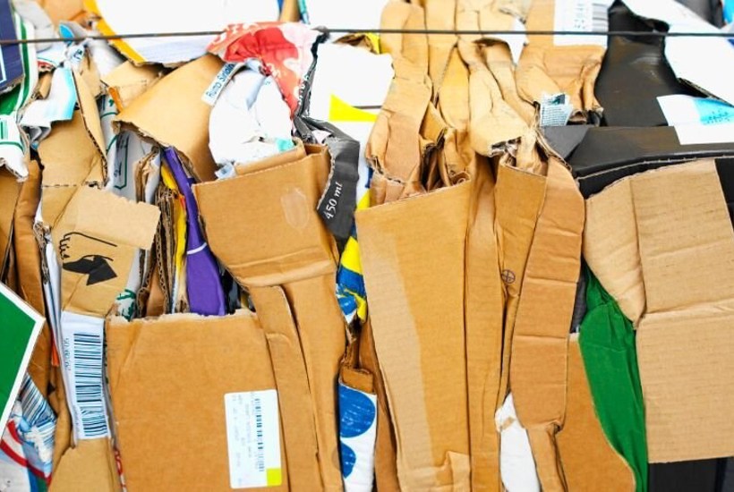 Onlinehandel giver massiv stigning i pap - skovene betaler prisen