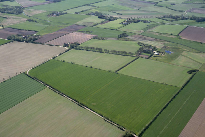 DN: Nye klimatal ændrer ikke på behovet for CO2-afgift på landbruget