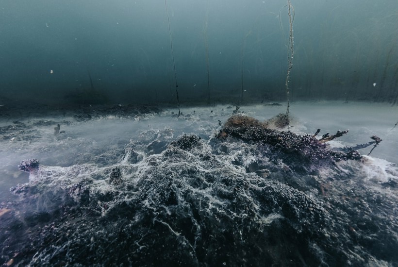 Eksperter: Vi mangler ikke viden om iltsvind, men politisk handling