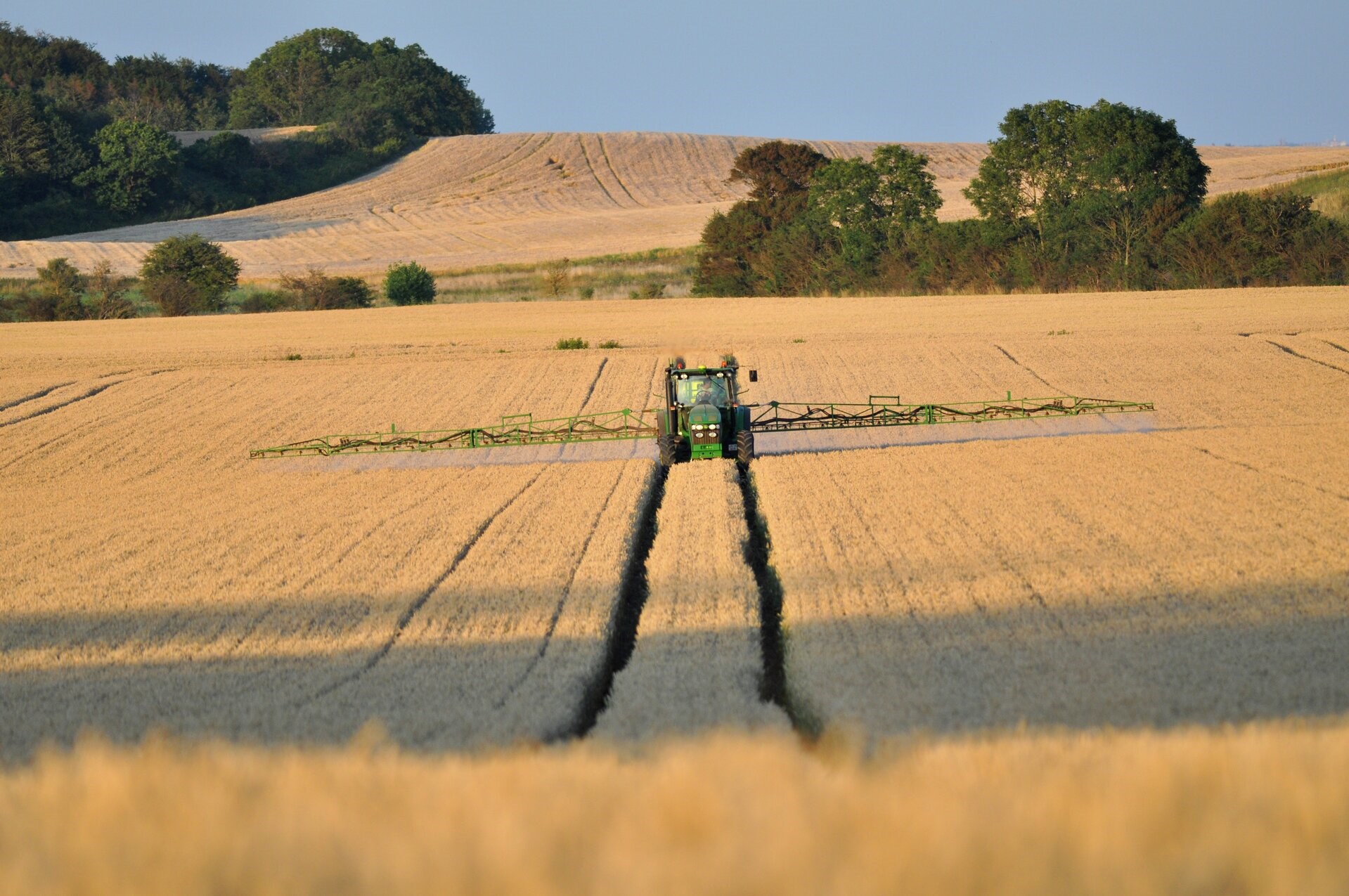 Rapport: Landbrugets PFAS-pesticider ender i grundvandet