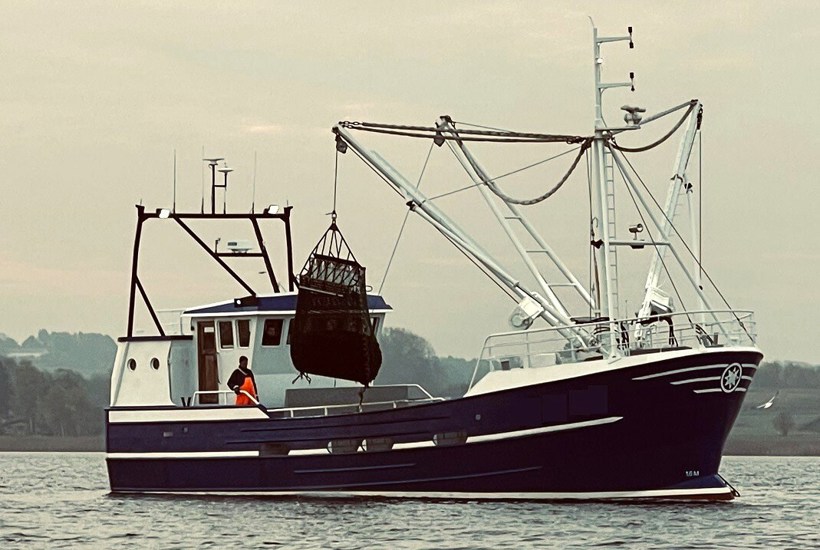 Borgere demonstrerer mod naturødelæggelser: Stop muslingeskrab i vores fjord