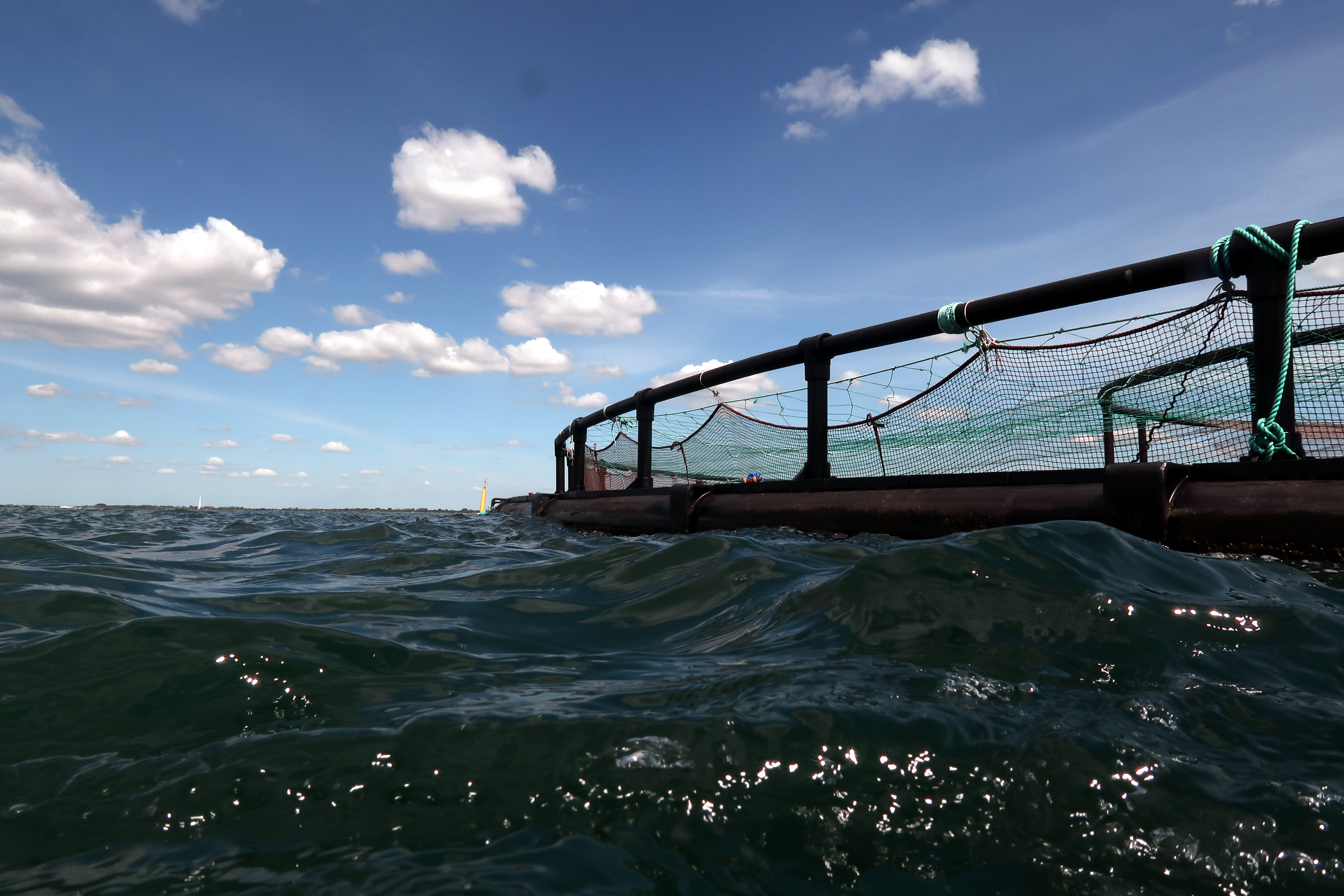 Se kortet: Fiskefarme forurener hårdt pressede havområder